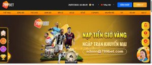 Khái quát thông tin về trang web 789Bet