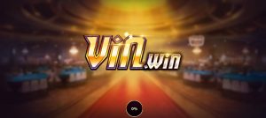 review vinwin