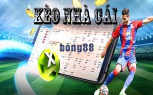 Kèo nhà cái Bong88 đa dạng với tỷ lệ cược thưởng hấp dẫn